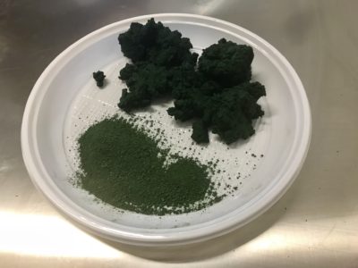 spirulina